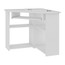 Rohový počítačový stůl TED bílá - galerie #1