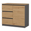 Komoda 1D3S - antracit / dub artisan - galerie #1