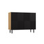 Komoda Kama 2D - dub artisan/černá - galerie #1